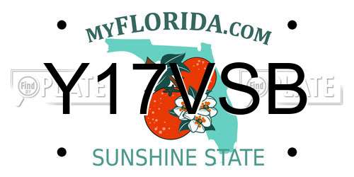 Y17VSB Florida License Plate