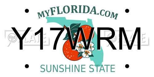 Y17WRM Florida License Plate