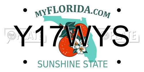 Y17WYS Florida License Plate