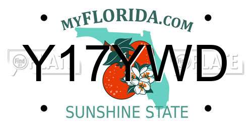 Y17YWD Florida License Plate