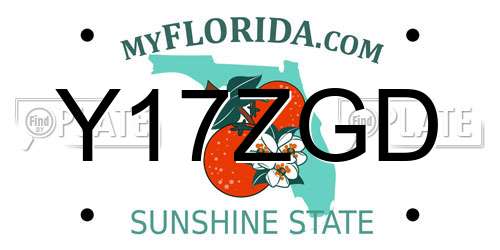 Y17ZGD Florida License Plate