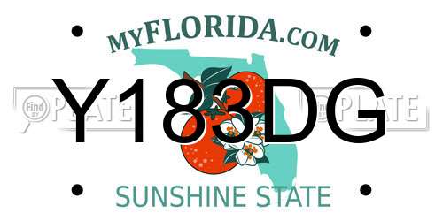 Y183DG Florida License Plate
