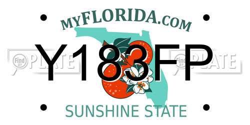 Y183FP Florida License Plate
