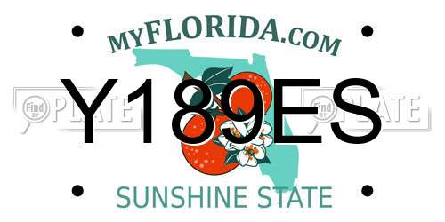Y189ES Florida License Plate