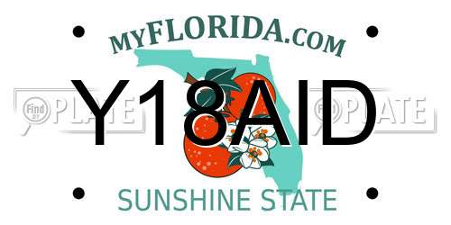 Y18AID Florida License Plate