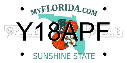 Y18APF Florida License Plate