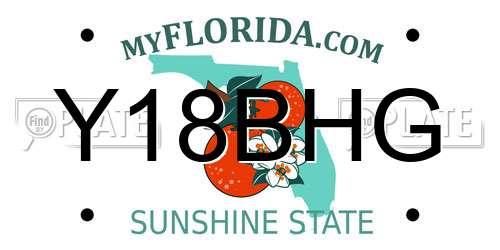 Y18BHG Florida License Plate