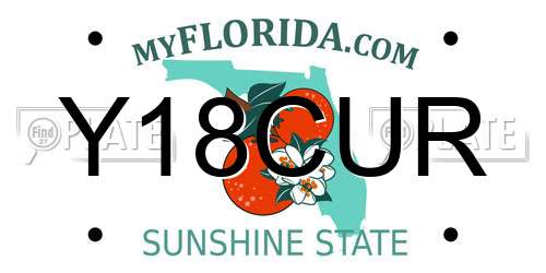 Y18CUR Florida License Plate