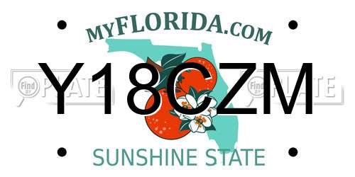 Y18CZM Florida License Plate