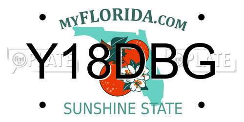 Y18DBG Florida License Plate