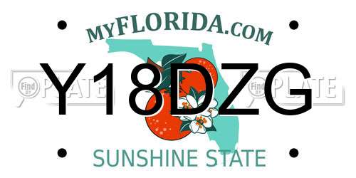 Y18DZG Florida License Plate