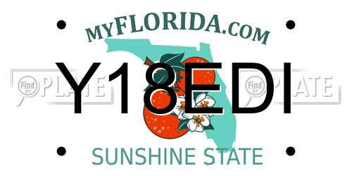 Y18EDI Florida License Plate