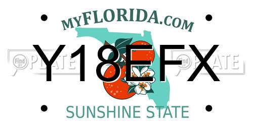Y18EFX Florida License Plate