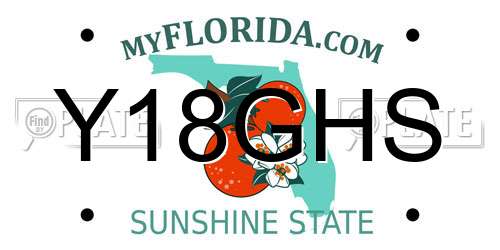 Y18GHS Florida License Plate