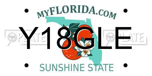 Y18GLE Florida License Plate