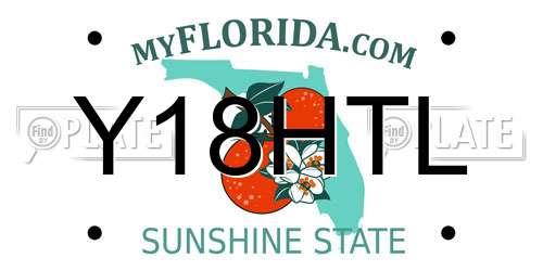 Y18HTL Florida License Plate