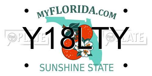 Y18LTY Florida License Plate