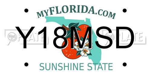 Y18MSD Florida License Plate
