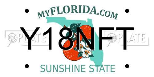 Y18NFT Florida License Plate
