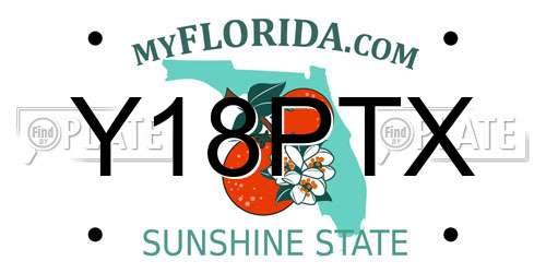 Y18PTX Florida License Plate