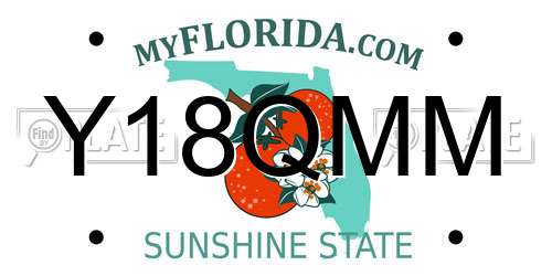 Y18QMM Florida License Plate