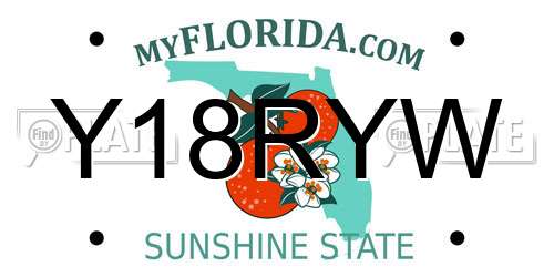 Y18RYW Florida License Plate