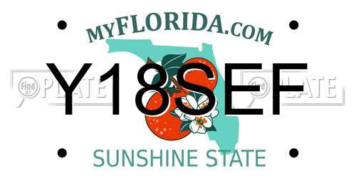 Y18SEF Florida License Plate