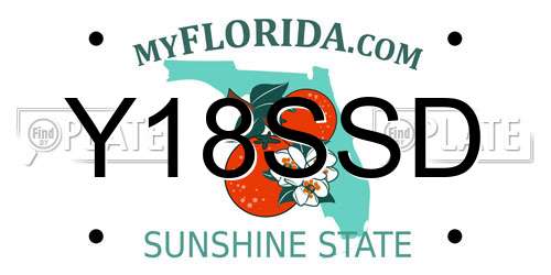 Y18SSD Florida License Plate