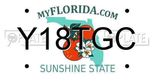 Y18TGC Florida License Plate