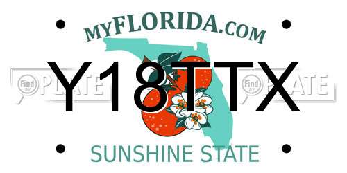 Y18TTX Florida License Plate