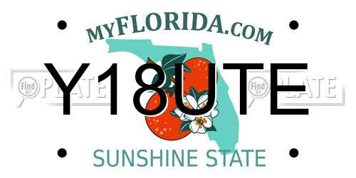 Y18UTE Florida License Plate