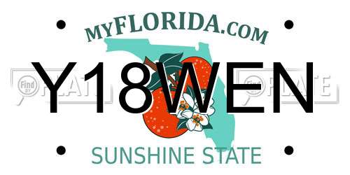 Y18WEN Florida License Plate