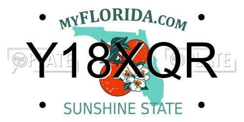 Y18XQR Florida License Plate
