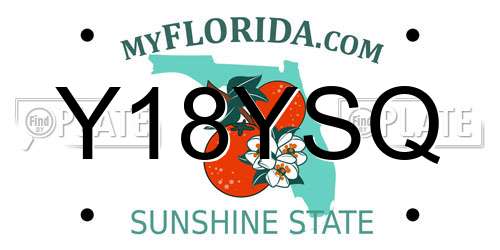 Y18YSQ Florida License Plate