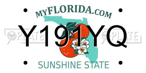 Y191YQ Florida License Plate