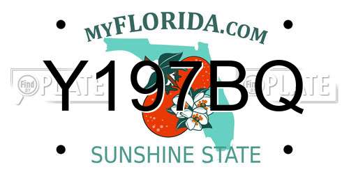 Y197BQ Florida License Plate