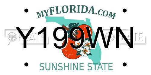 Y199WN Florida License Plate