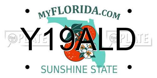 Y19ALD Florida License Plate