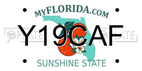 Y19CAF Florida License Plate