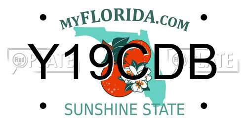 Y19CDB Florida License Plate