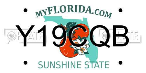 Y19CQB Florida License Plate