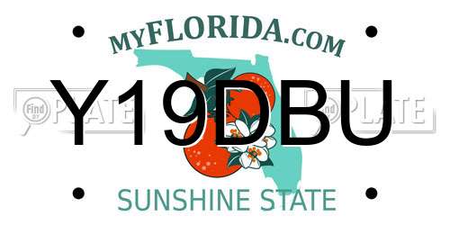 Y19DBU Florida License Plate