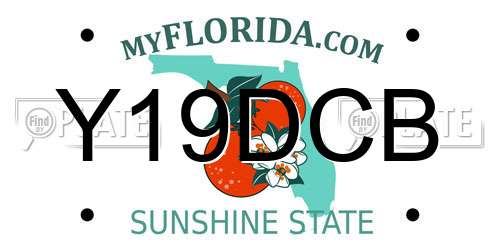 Y19DCB Florida License Plate