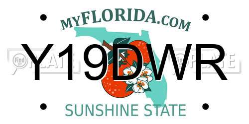 Y19DWR Florida License Plate