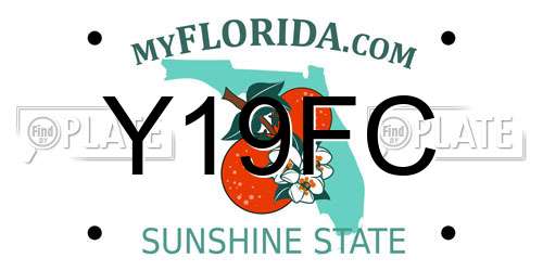 Y19FC Florida License Plate