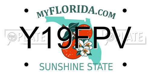 Y19FPV Florida License Plate