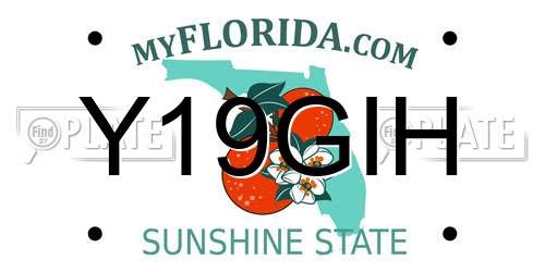 Y19GIH Florida License Plate