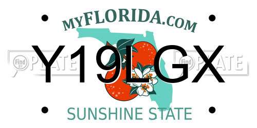 Y19LGX Florida License Plate