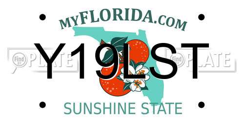 Y19LST Florida License Plate