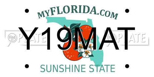 Y19MAT Florida License Plate